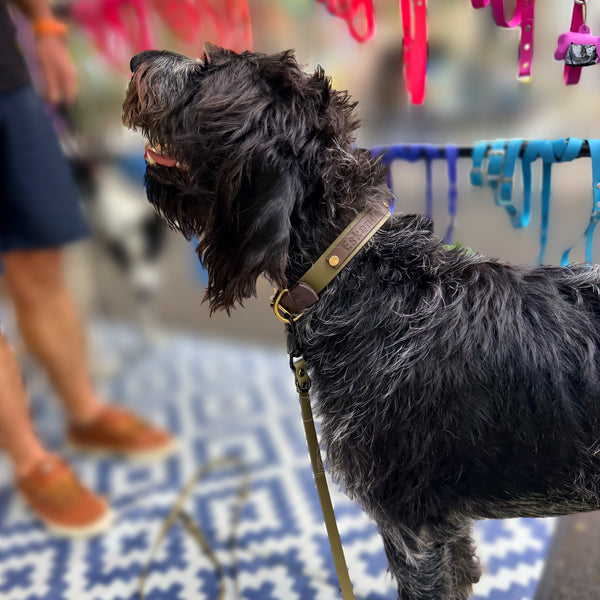 Eskander - Brown and Olive Collar, Multi Lead