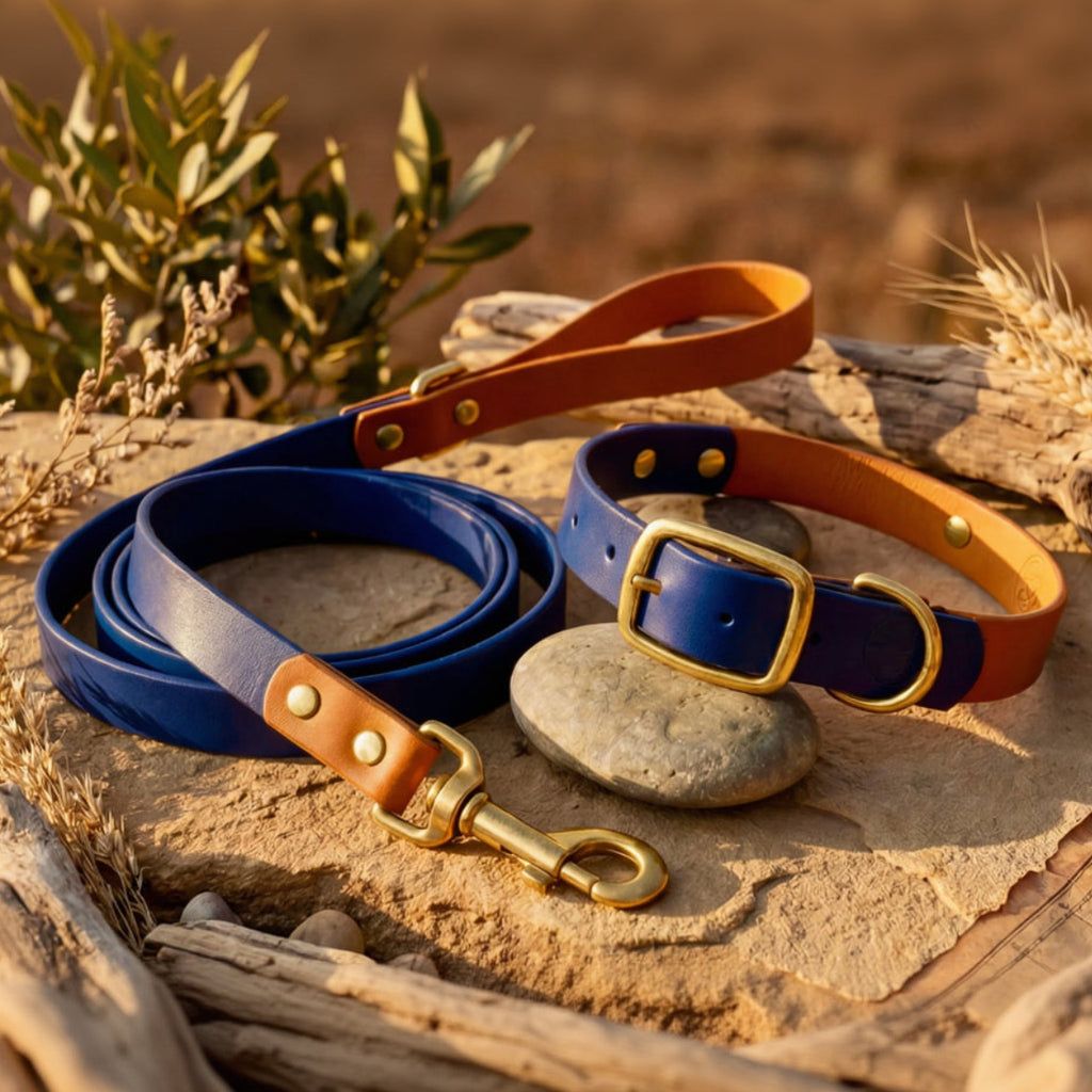 Navy and Caramel Collar