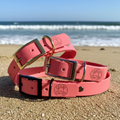 Single Colour Dog Collars