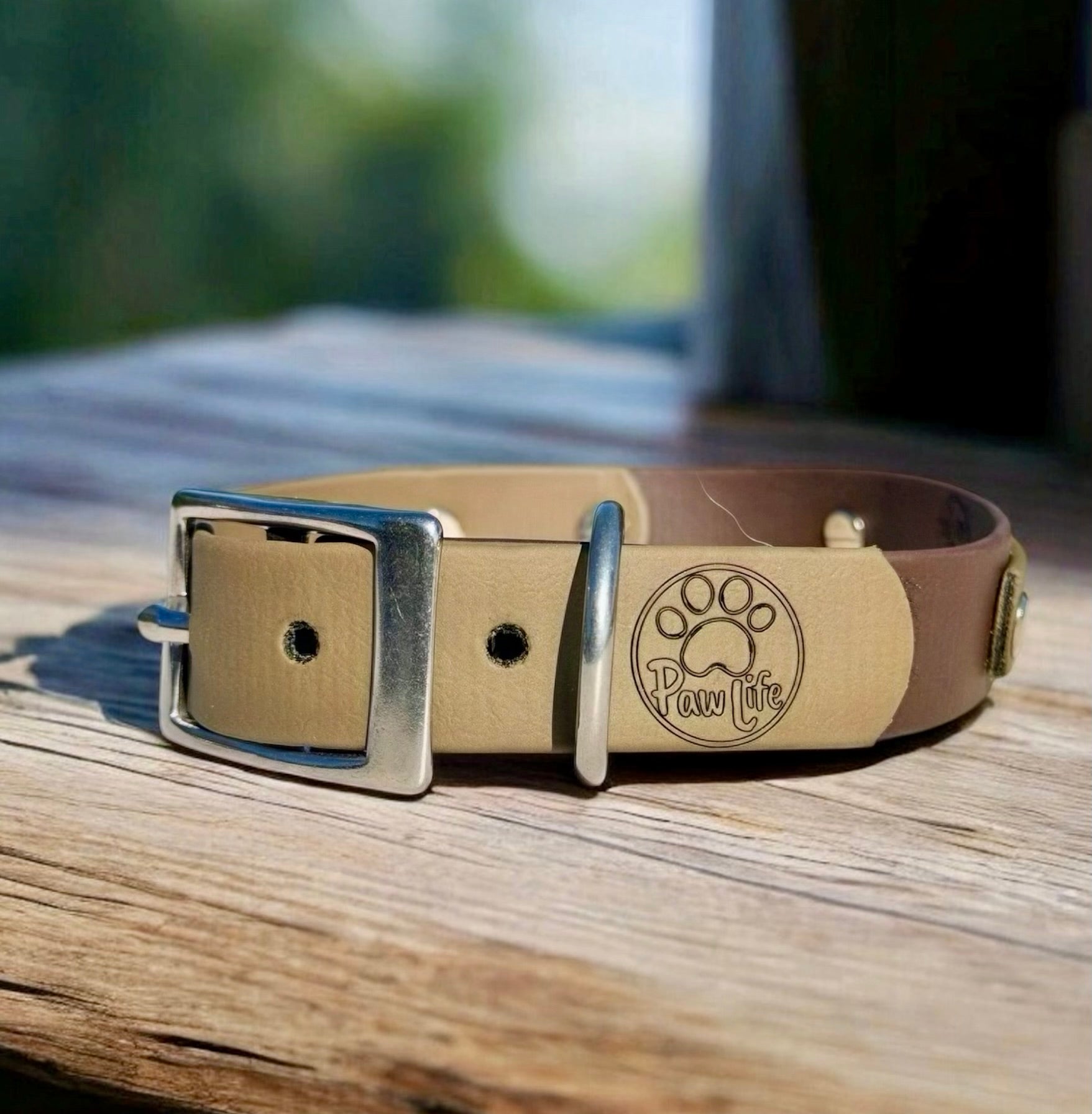 Olive and Brown Dog Collar with Stainless Steel Hardware