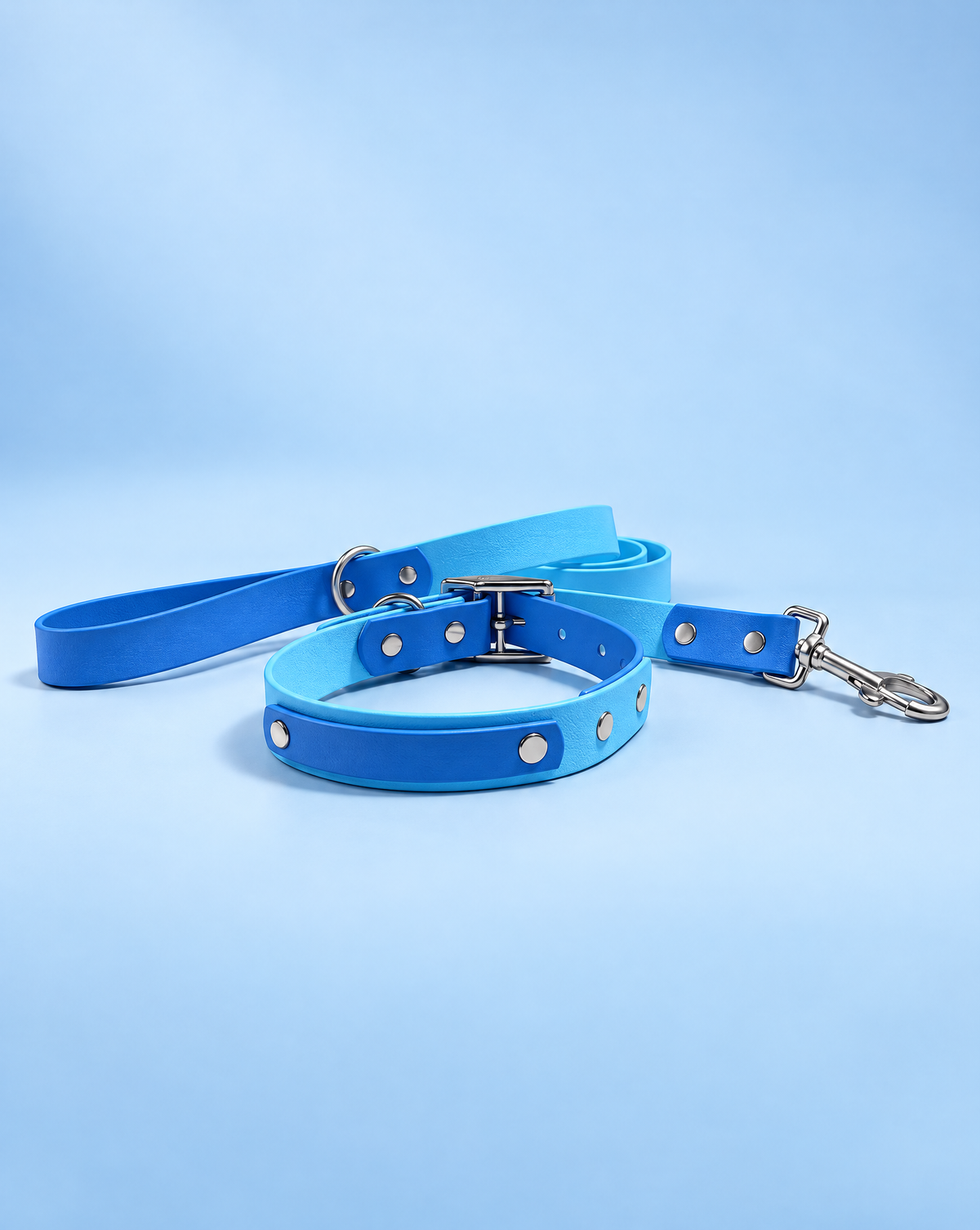 Cyan and Pastel Blue Collar