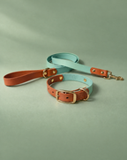 Caramel and Sage Collar