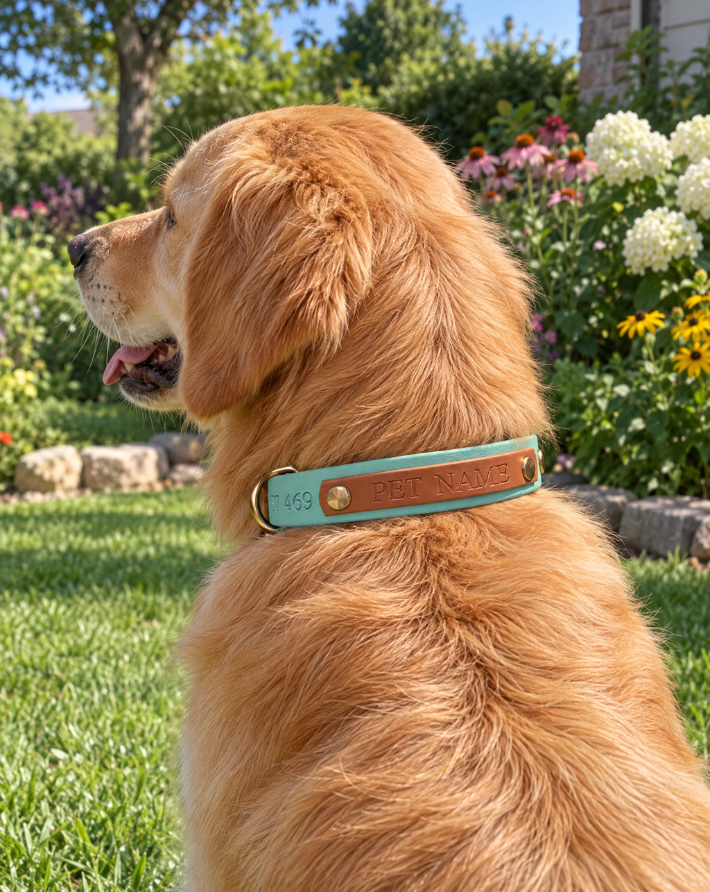 Caramel and Sage Collar