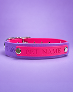 Pink and Amethyst Collar