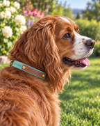Caramel and Sage Collar