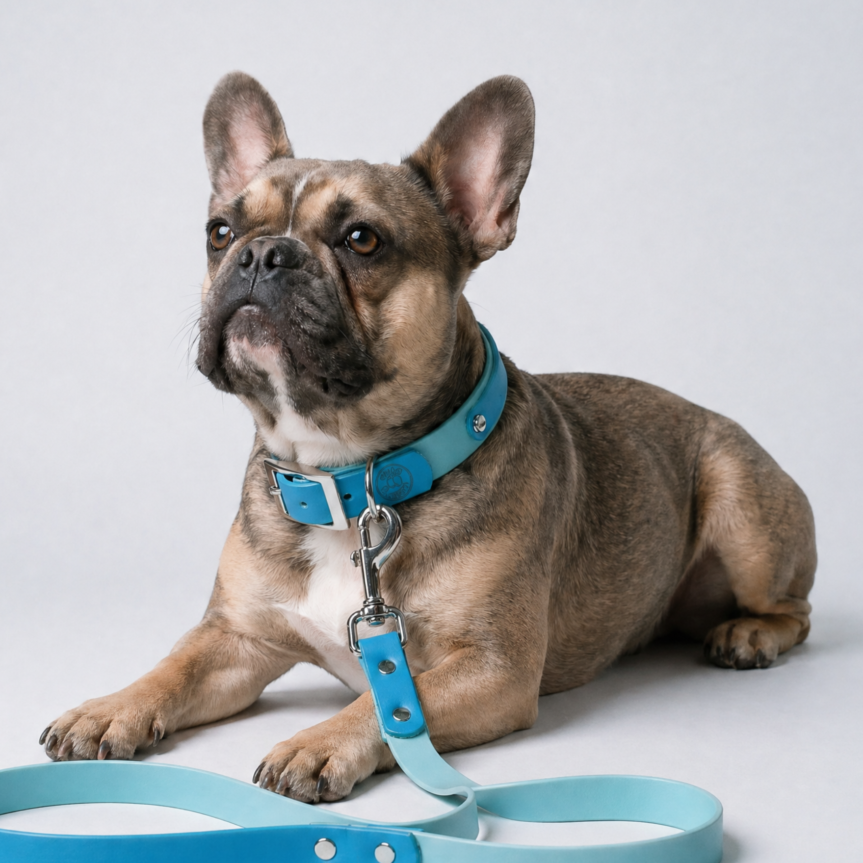 Lagune and Sage Collar