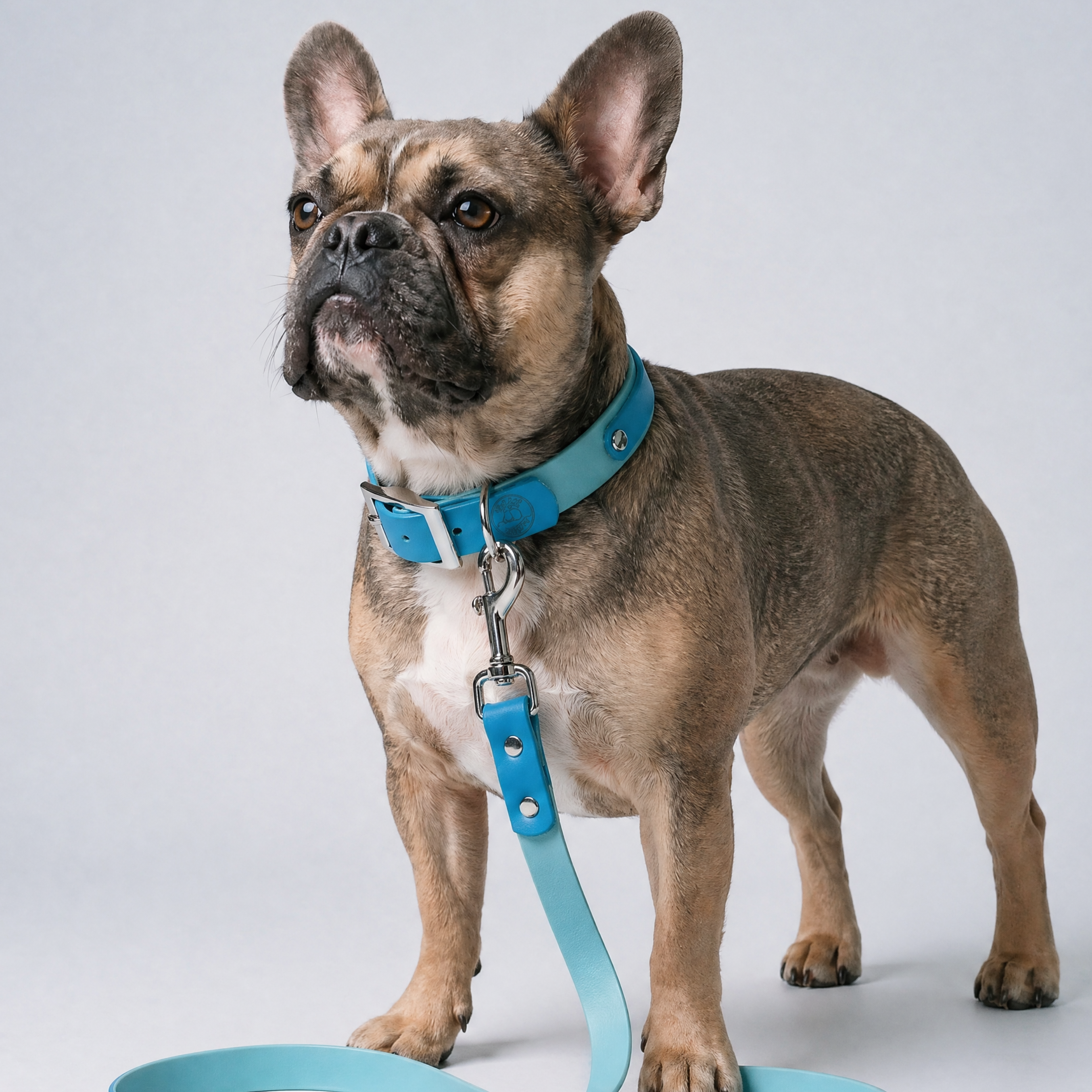 Lagune and Sage Collar