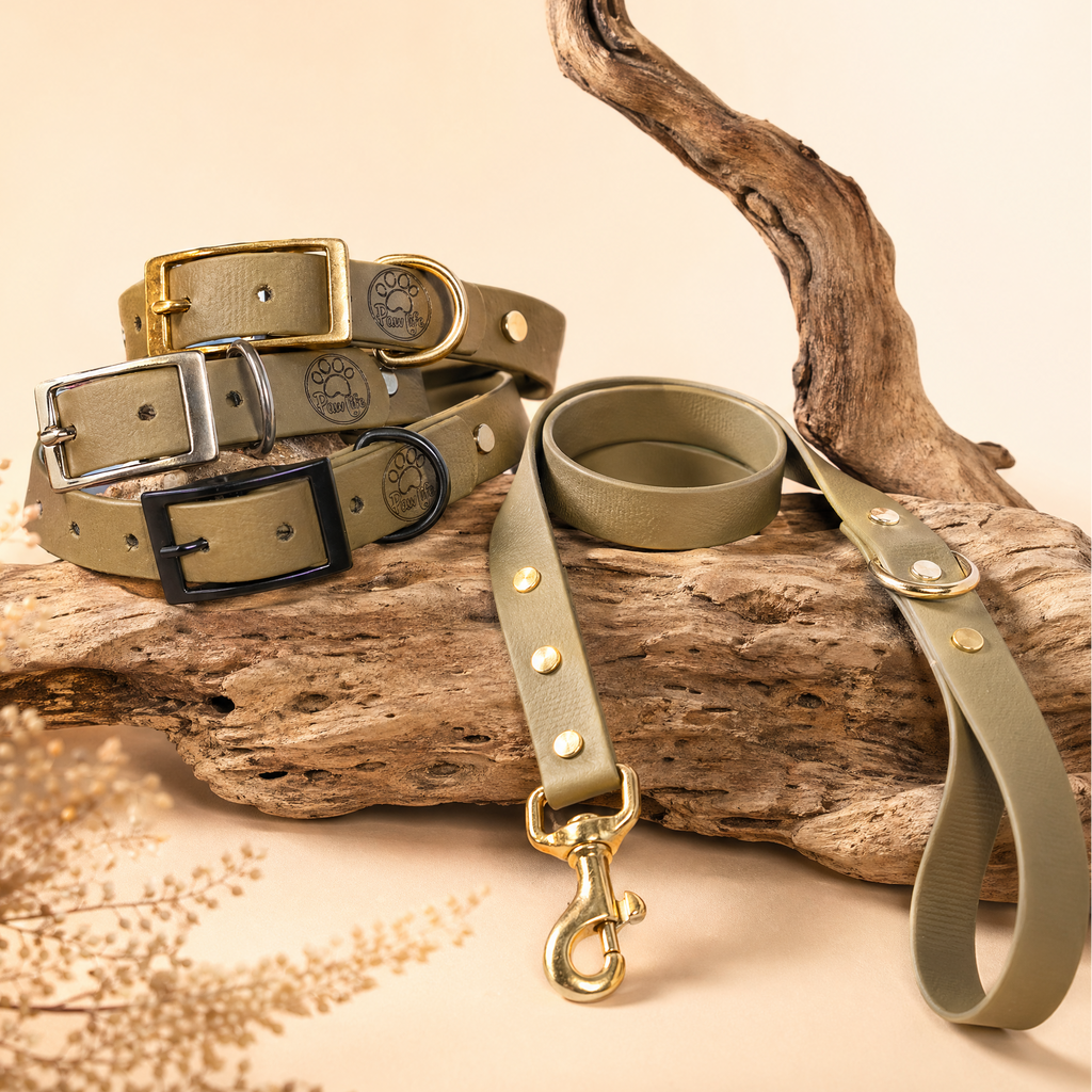 Olive Collar