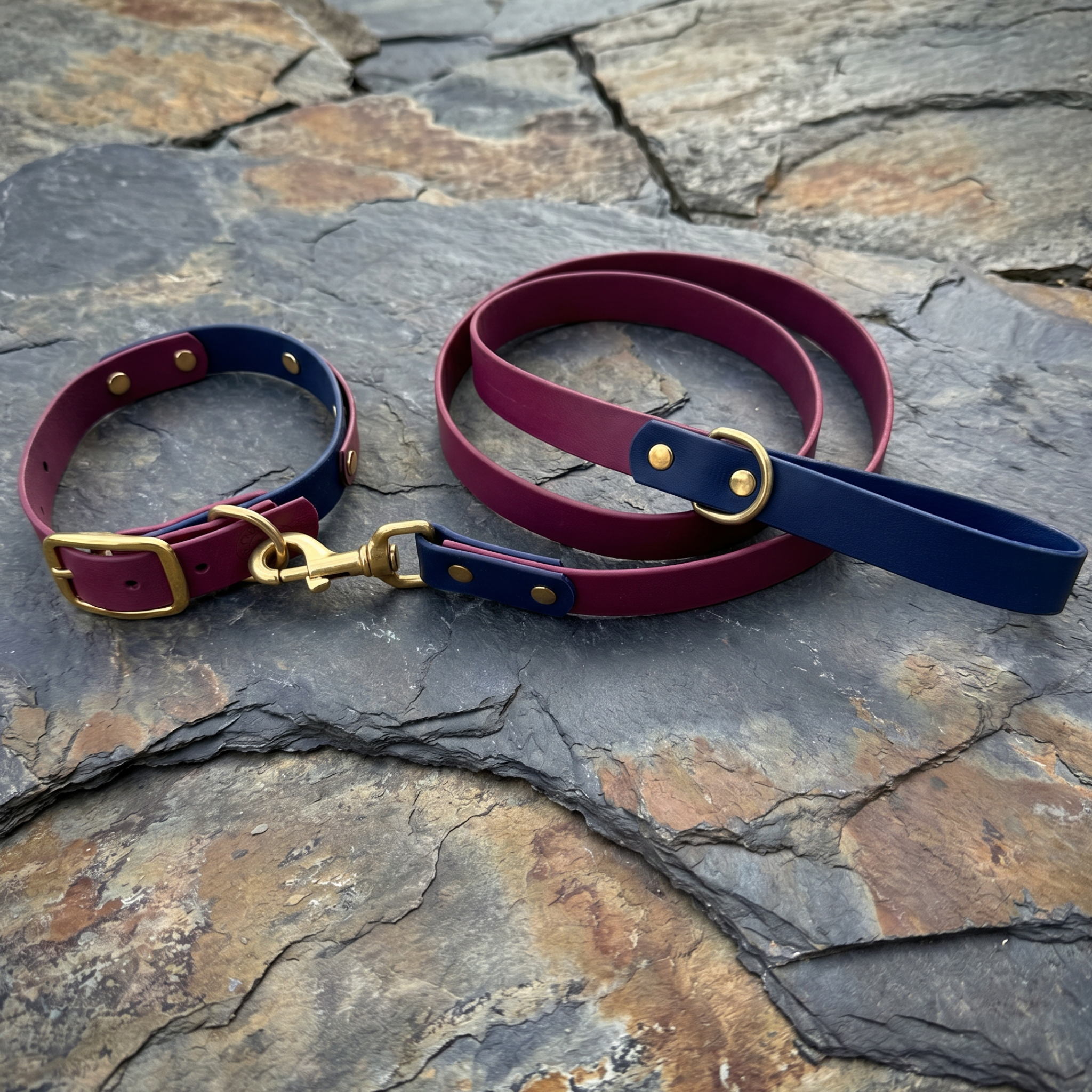 Maroon and Navy Collar