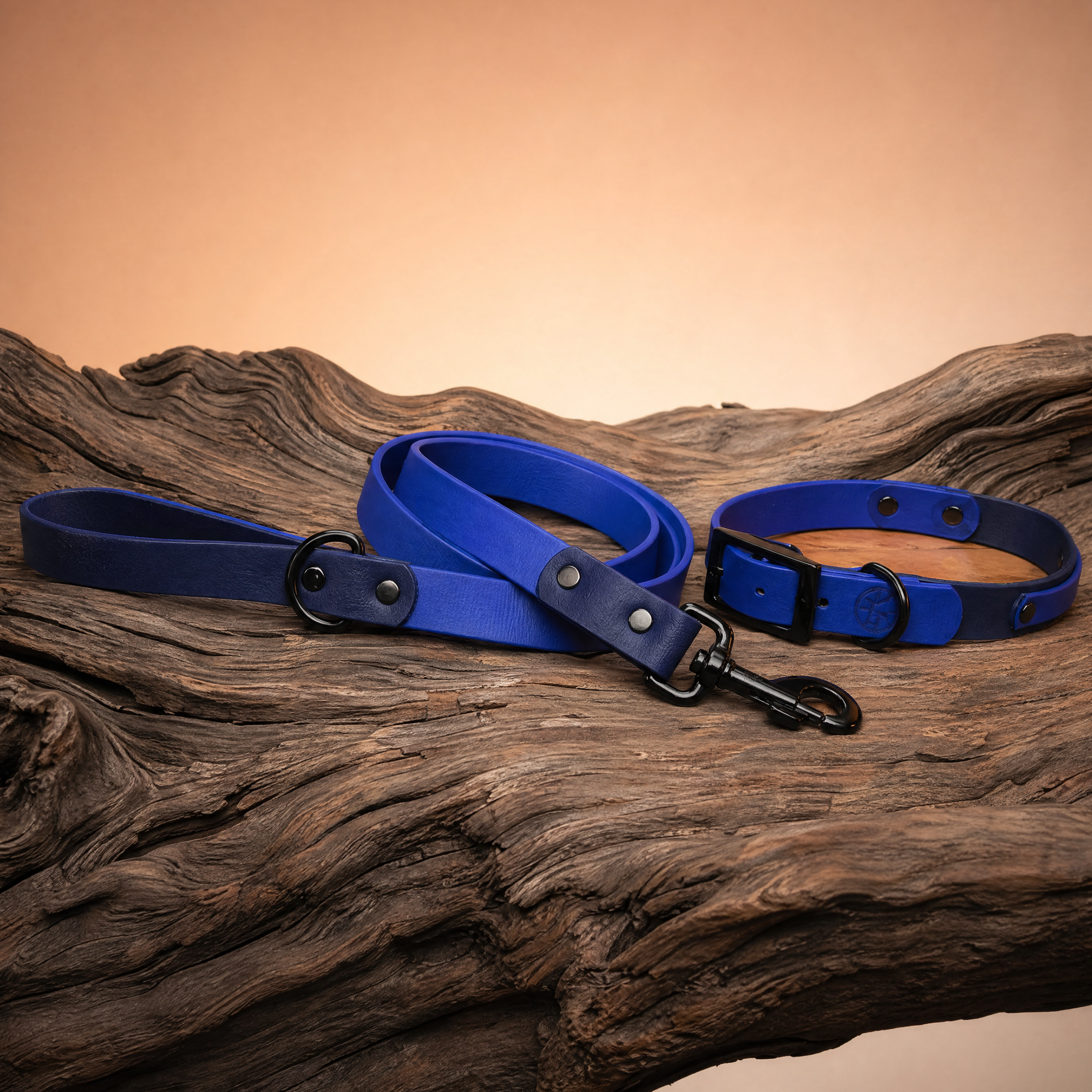 Navy and Sky Blue Collar