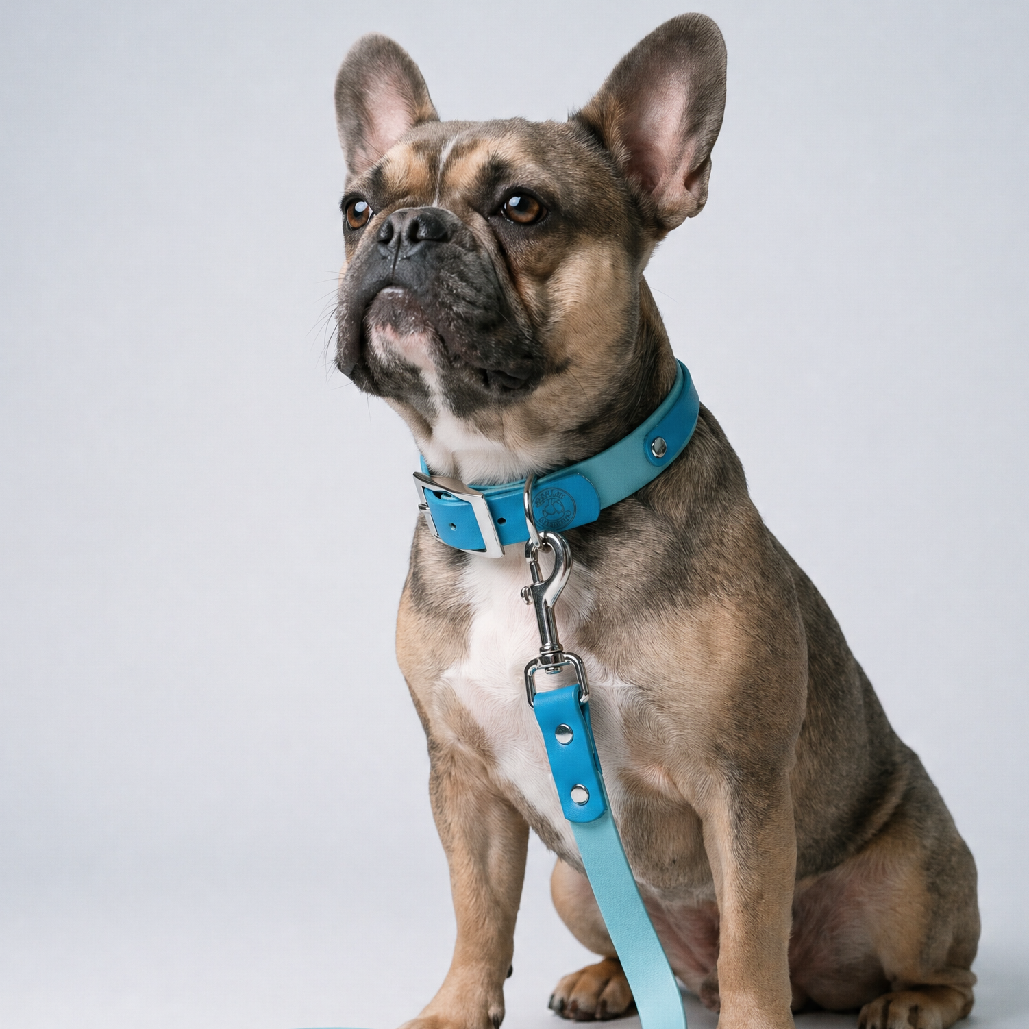 Lagune and Sage Collar