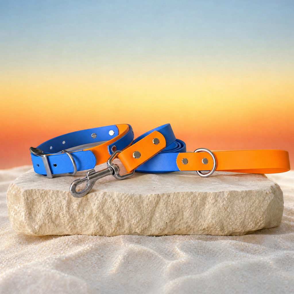 Cyan and Pastel Orange Lead