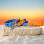 Cyan and Pastel Orange Lead
