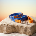 Cyan and Pastel Orange Collar