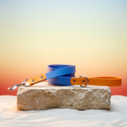 Cyan and Pastel Orange Lead