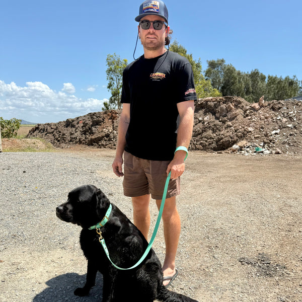 Arlo - Sea Foam Large Collar, Sea Foam Lead