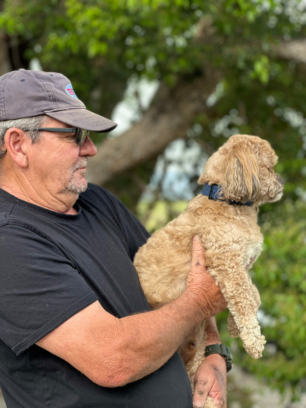 Kozzie - Navy Small Collar with Zinc Alloy (Black)
