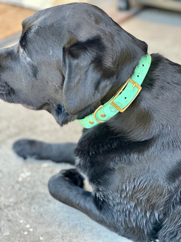 Arlo - Sea Foam Large Collar with Brass