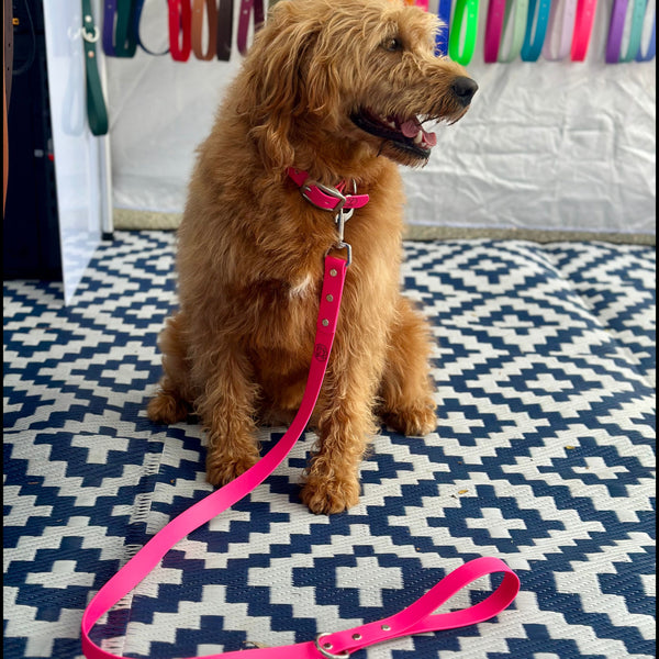 Pink Collar with Matching Lead