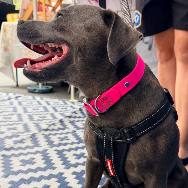Pink Collar
