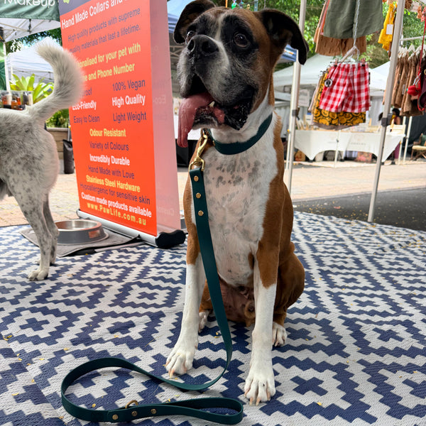 Green Collar and Matching Lead