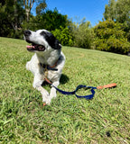 Navy and Caramel Collar