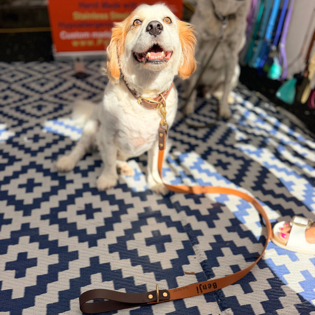 Brown and Caramel Lead