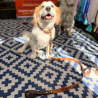 Brown and Caramel Lead