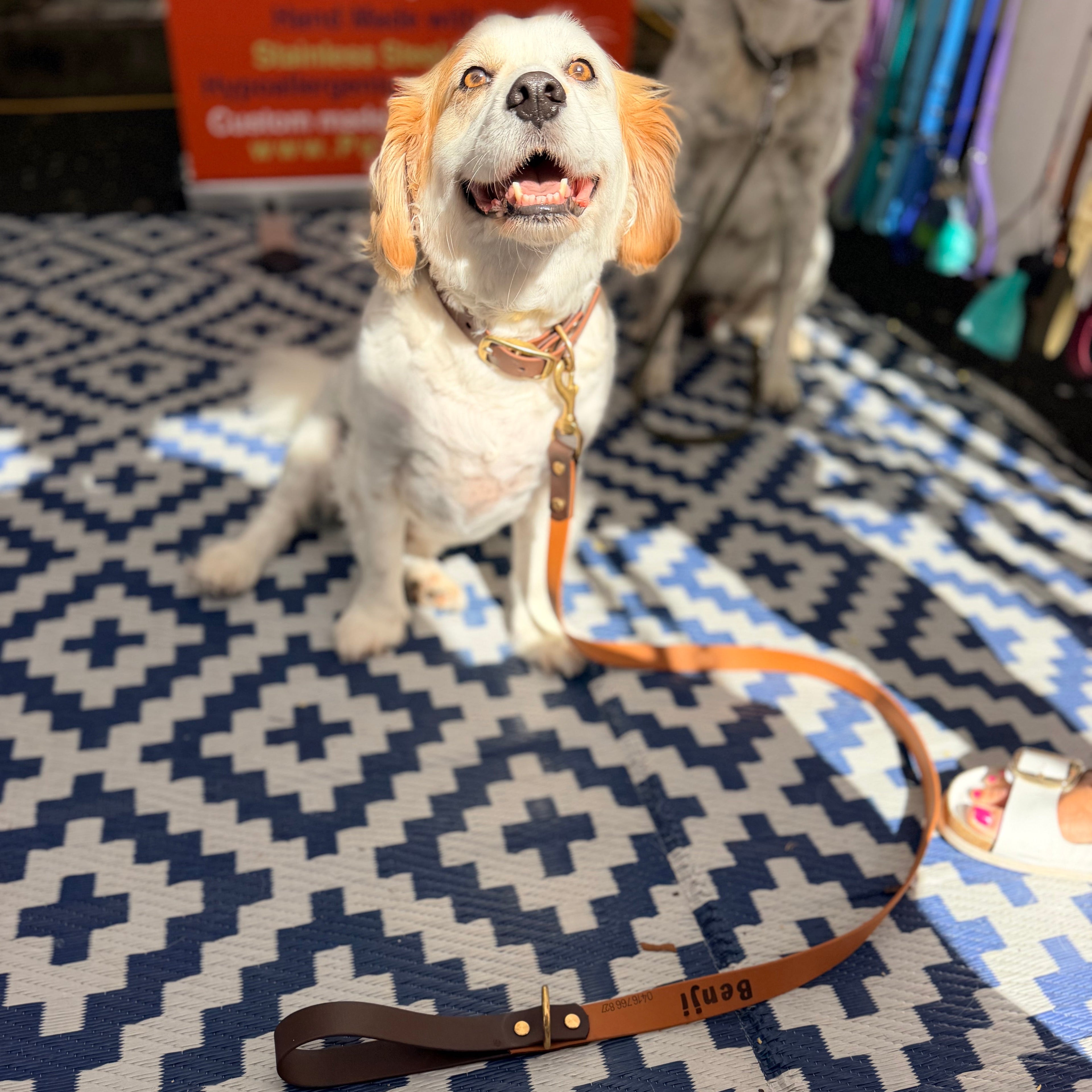 Brown and Caramel Lead