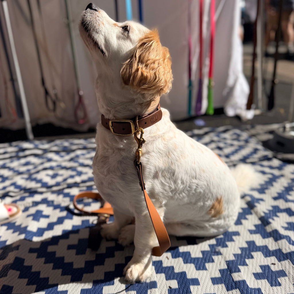 Brown and Caramel Lead