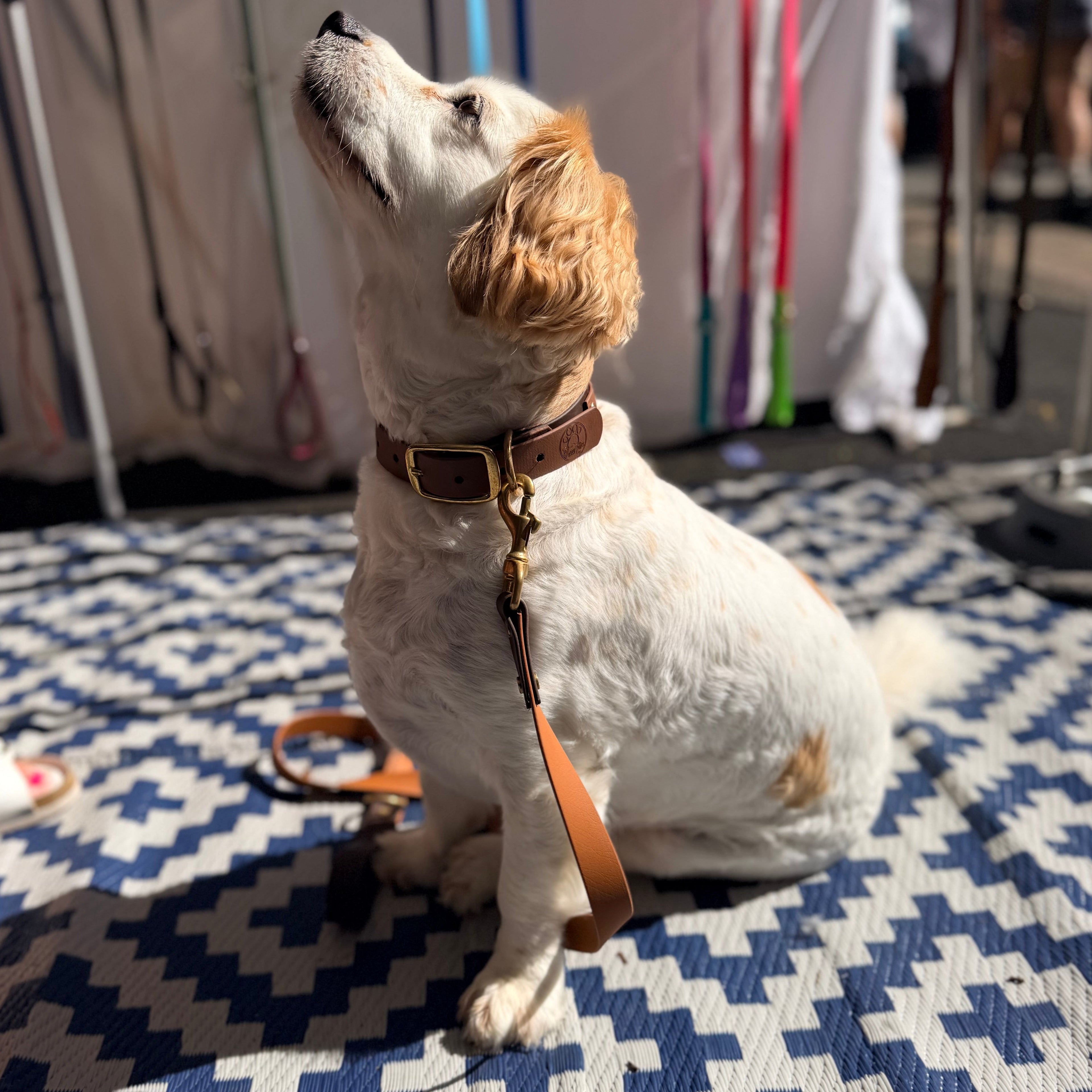 Brown and Caramel Lead