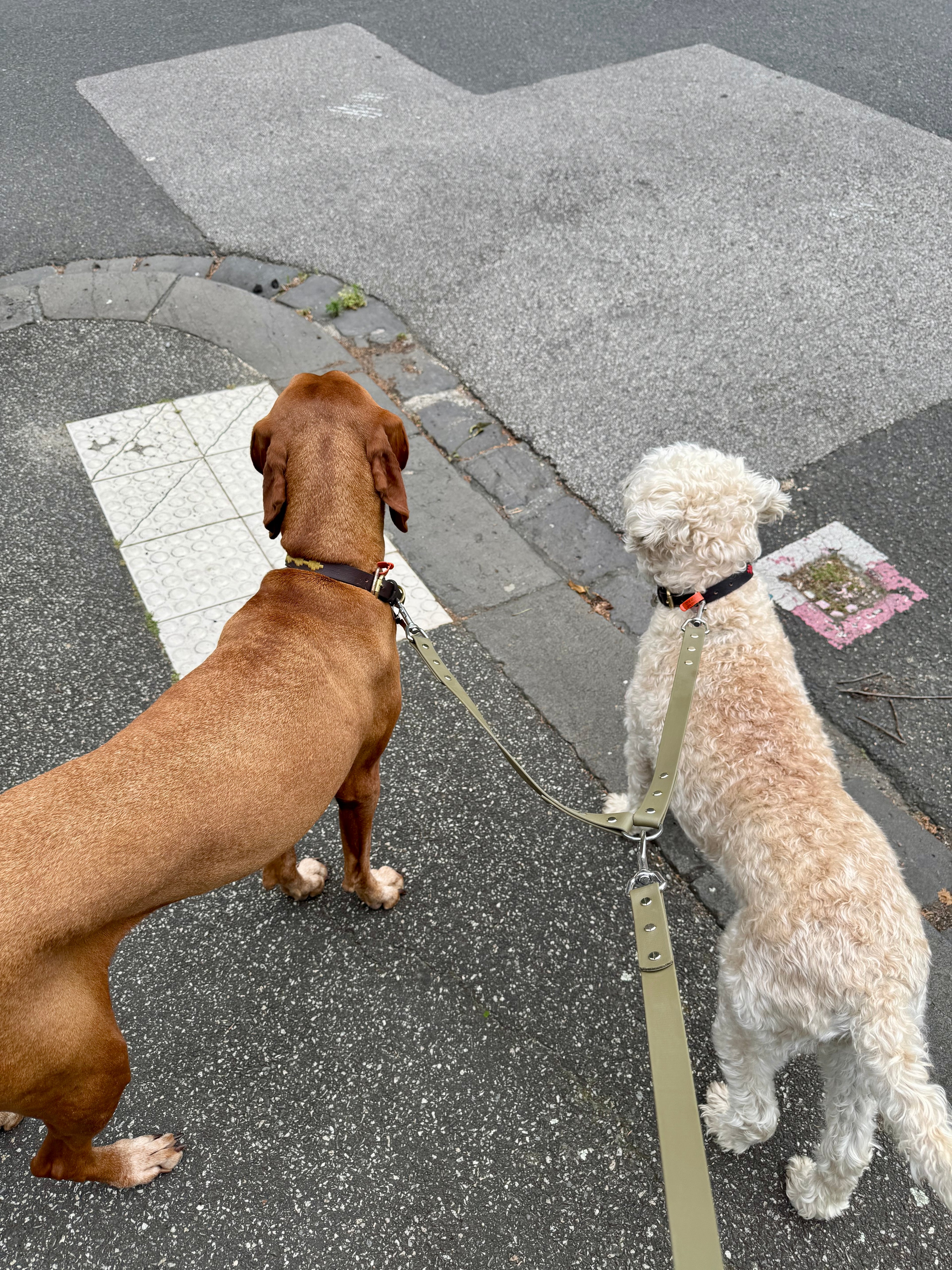 Multiple Dog Splitters