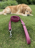 Dog Leads