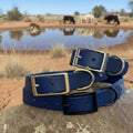 Single Colour Dog Collars