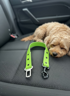 Seatbelt - Small