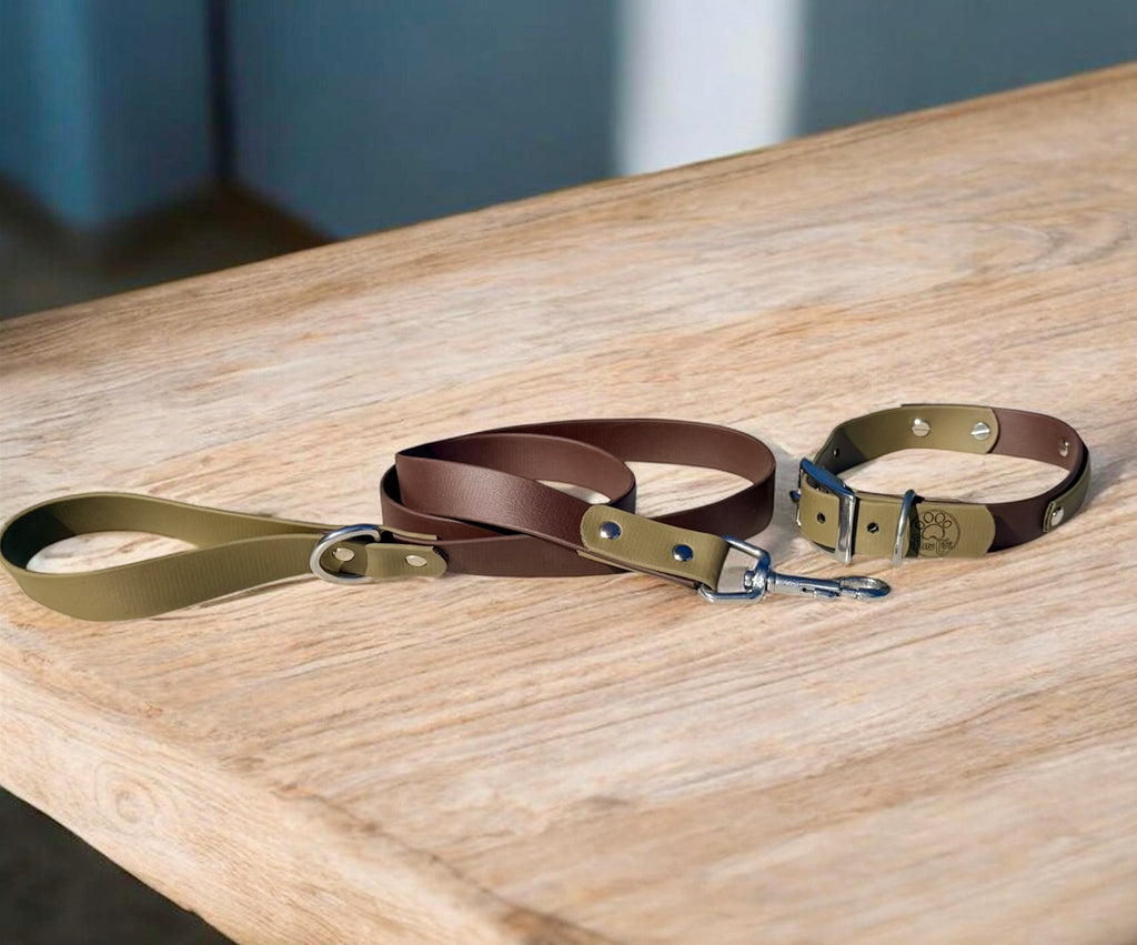 Olive and Brown Dog Collar with Stainless Steel Hardware