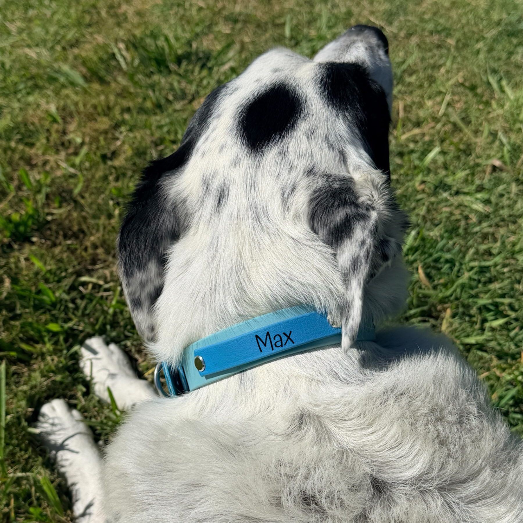 Lagune and Sage Collar