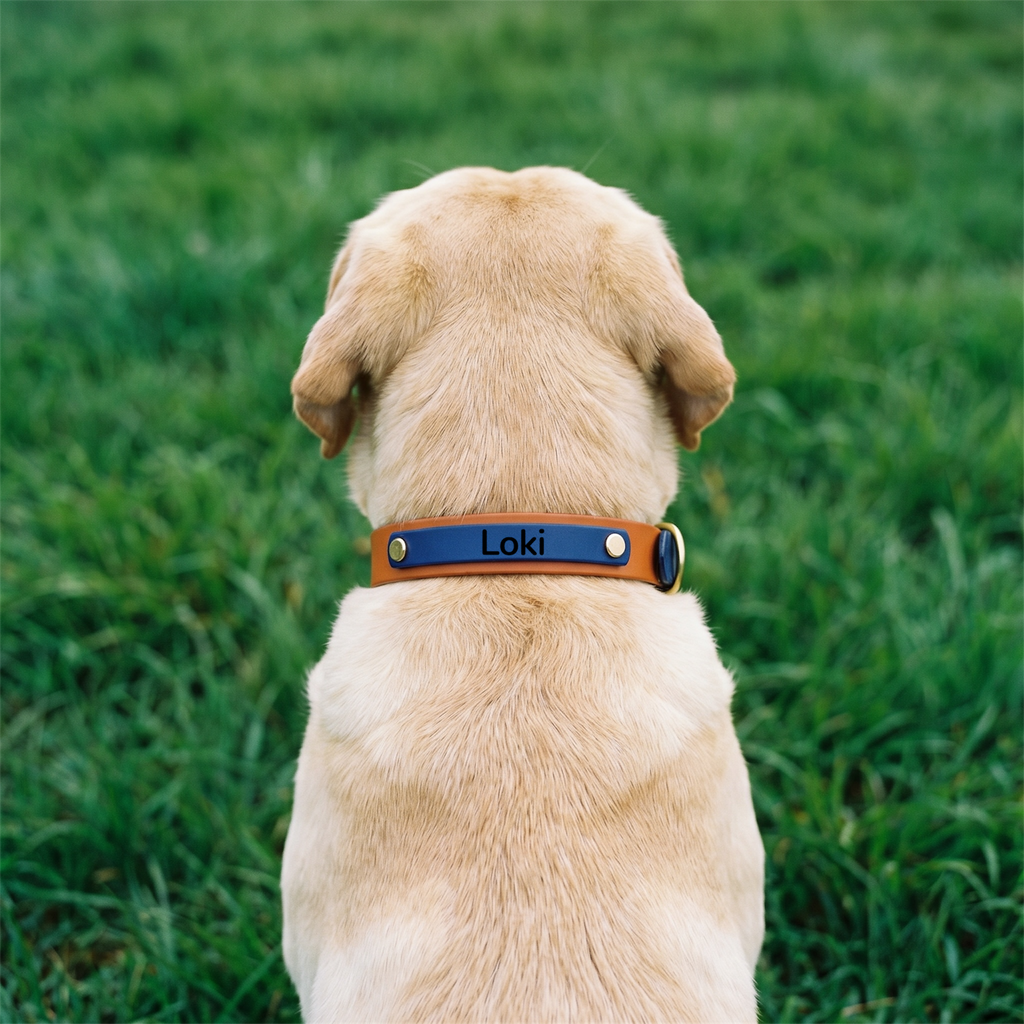 Navy and Caramel Collar