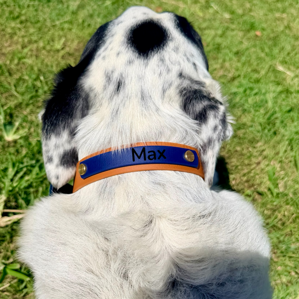 Navy and Caramel Collar