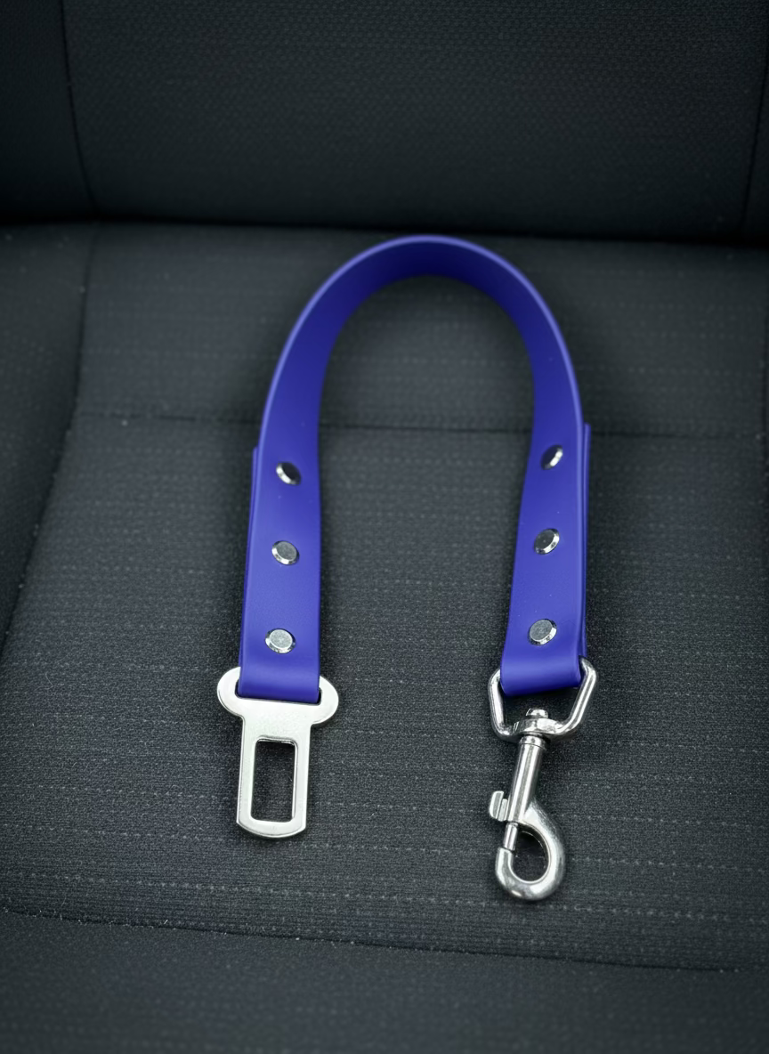 Seatbelt - Large
