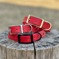 Single Colour Dog Collars