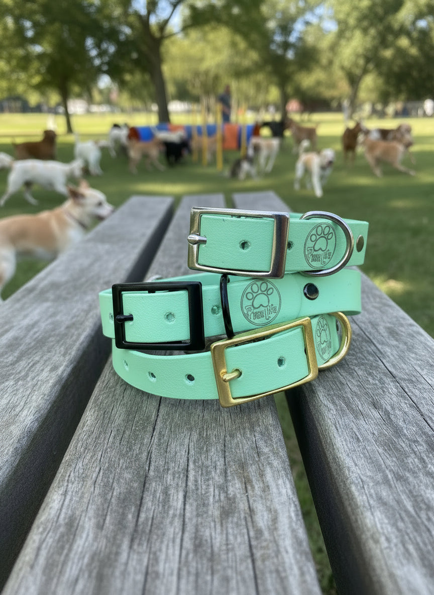 Medium Dog Collar
