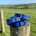 Single Colour Dog Collars
